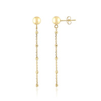 Boucles d'oreilles en argent