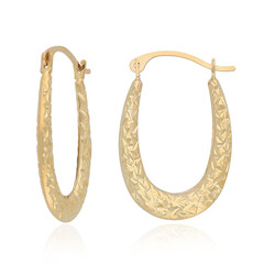 Boucles d'oreilles en or