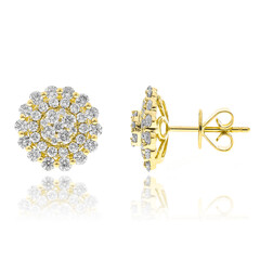 Boucles d'oreilles en or et Diamant I1 (H) (CIRARI)