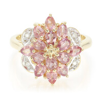 Bague en or et Saphir Padparadscha non chauffé (AMAYANI)