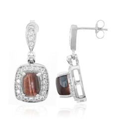Boucles d'oreilles en argent et Œil-de-tigre rouge