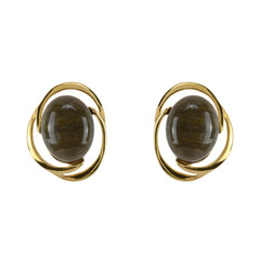 Boucles d'oreilles en argent et Bois fossilisé
