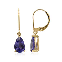 Boucles d'oreilles en or et Tanzanite AAA (CIRARI)