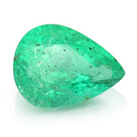  Emeraude de Zambie 0,83 ct (gemme et boîte de collection)