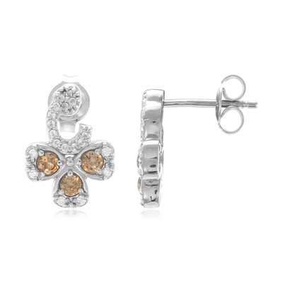 Boucles d'oreilles en argent et Grenat à couleurs changeantes de Madagascar