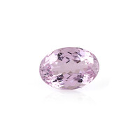  Kunzite 5,994 ct (gemme et boîte de collection)