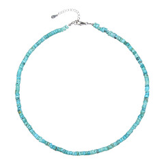 Collier en argent et Turquoise