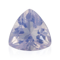  Quartz Fleur de Lys (gemme et boîte de collection)
