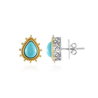 Boucles d'oreilles en argent et Turquoise Sleeping Beauty (Dallas Prince Designs)