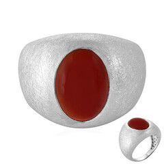 Bague en argent et Onyx