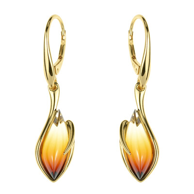 Boucles d'oreilles en argent et Ambre baltique (dagen)