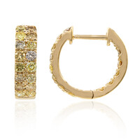 Boucles d'oreilles en or et Diamant fancy SI2 (CIRARI)
