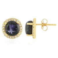 Boucles d'oreilles en argent et Diopside étoilé d'Inde