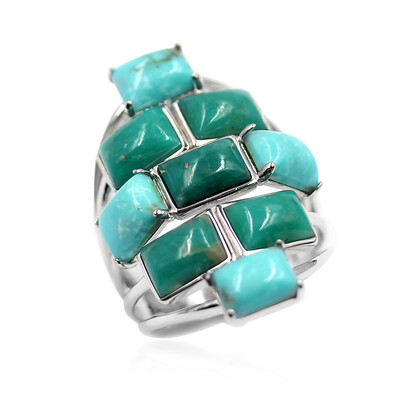 Bague en argent et Turquoise de Campo Frio (Anne Bever)