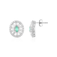 Boucles d'oreilles en argent et Emeraude de Colombie