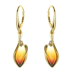 Boucles d'oreilles en argent et Ambre baltique