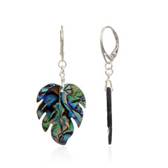 Boucles d'oreilles en argent et Coquillage d'Abalone