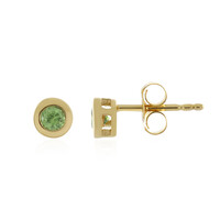 Boucles d'oreilles en argent et Grenat Démantoïde
