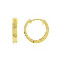 Boucles d'oreilles en argent et Diamant PK (J)