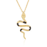 Collier en argent et Diamant noir