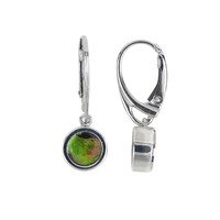 Boucles d'oreilles en argent et Ammolite