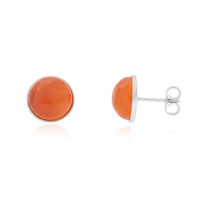 Boucles d'oreilles en argent et Cornaline (CUSTODANA)