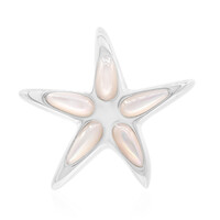 Pendentif en argent et Nacre