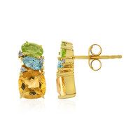 Boucles d'oreilles en argent et Citrine