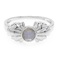 Bague en argent et Spectrolite