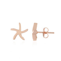Boucles d'oreilles en argent