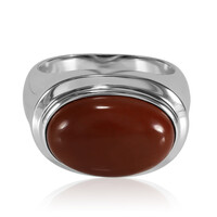 Bague en argent et Jaspe sanguin