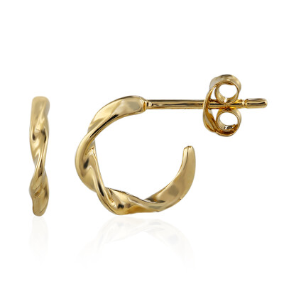 Boucles d'oreilles en argent