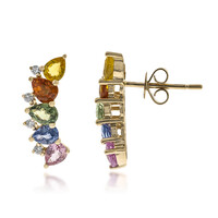Boucles d'oreilles en or et Saphir