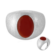 Bague en argent et Onyx