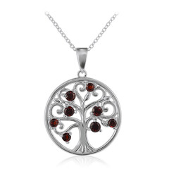 Collier en argent et Grenat