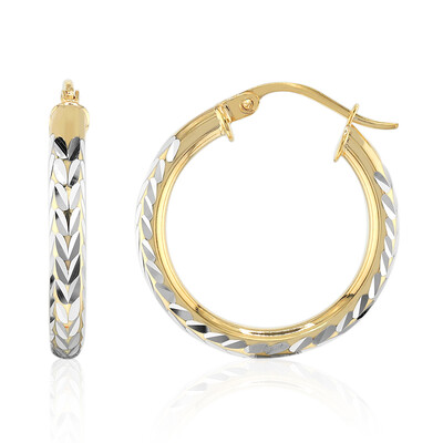Boucles d'oreilles en argent