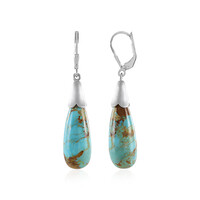 Boucles d'oreilles en argent et Turquoise de Kingman