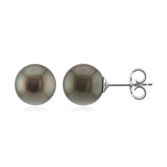 Boucles d'oreilles en argent et Perle de culture de Tahiti (TPC)