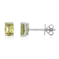 Boucles d'oreilles en platine et Grenat du Mali