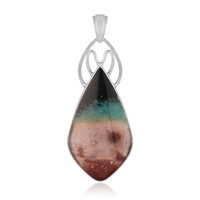 Pendentif en argent et Bois pétrifié opalisé (Bali Barong)