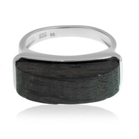 Bague en argent et Chêne de tourbière (Dagen)
