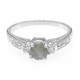 Bague en argent et Spectrolite
