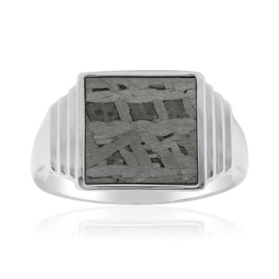 Bague en argent et Météorite d'Alétaï