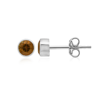 Boucles d'oreilles en argent et Grenat mandarine