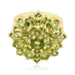 Bague en argent et Péridot