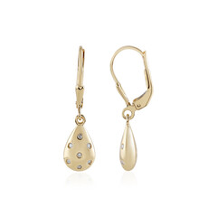 Boucles d'oreilles en argent et Diamant I3 (J)