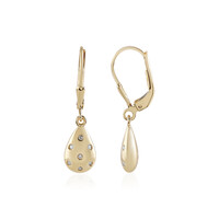 Boucles d'oreilles en argent et Diamant I3 (J)