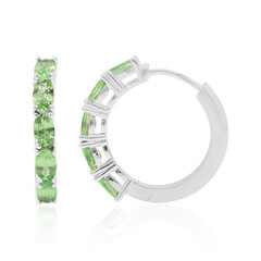 Boucles d'oreilles en argent et Grenat Tsavorite