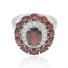 Bague en argent et Grenat