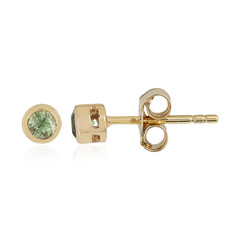 Boucles d'oreilles en or et Grenat Démantoïde